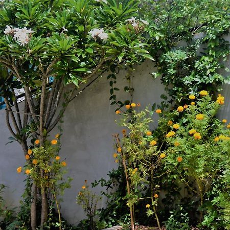 Bellaxy Ceylon Ella Exterior foto